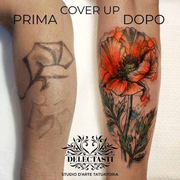 Photo_1702428937839-01-01